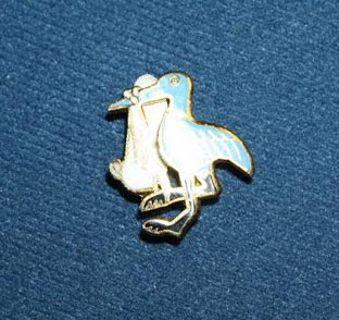 stork pin-scaled